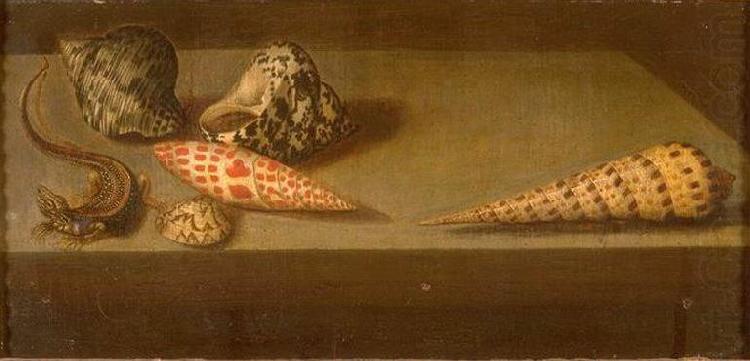 AST, Balthasar van der Lezards et coquillages china oil painting image